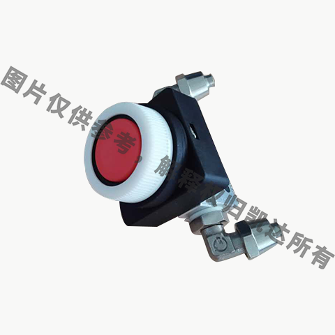司機處一鍵按鈕φ30
